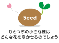 ”SEED”。ひとつぶの小さな種はどんな花を咲かせるのでしょう